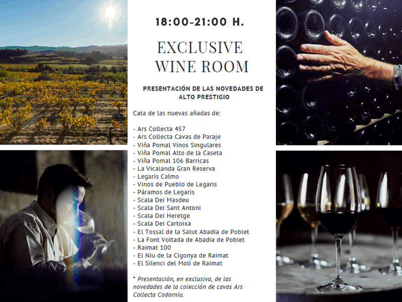 Wine Room Ravents Codornu (1)